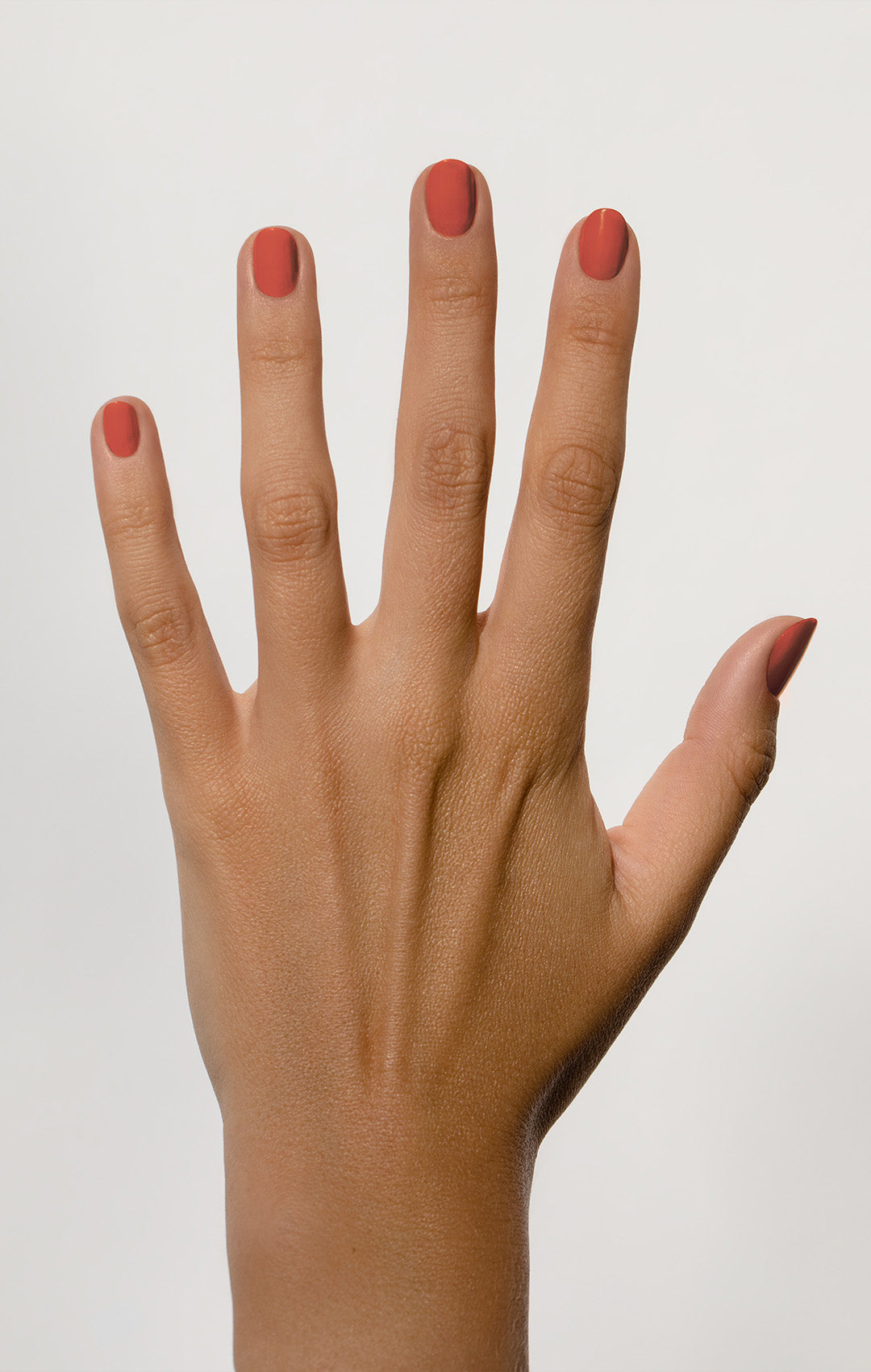 36 Figue Orange