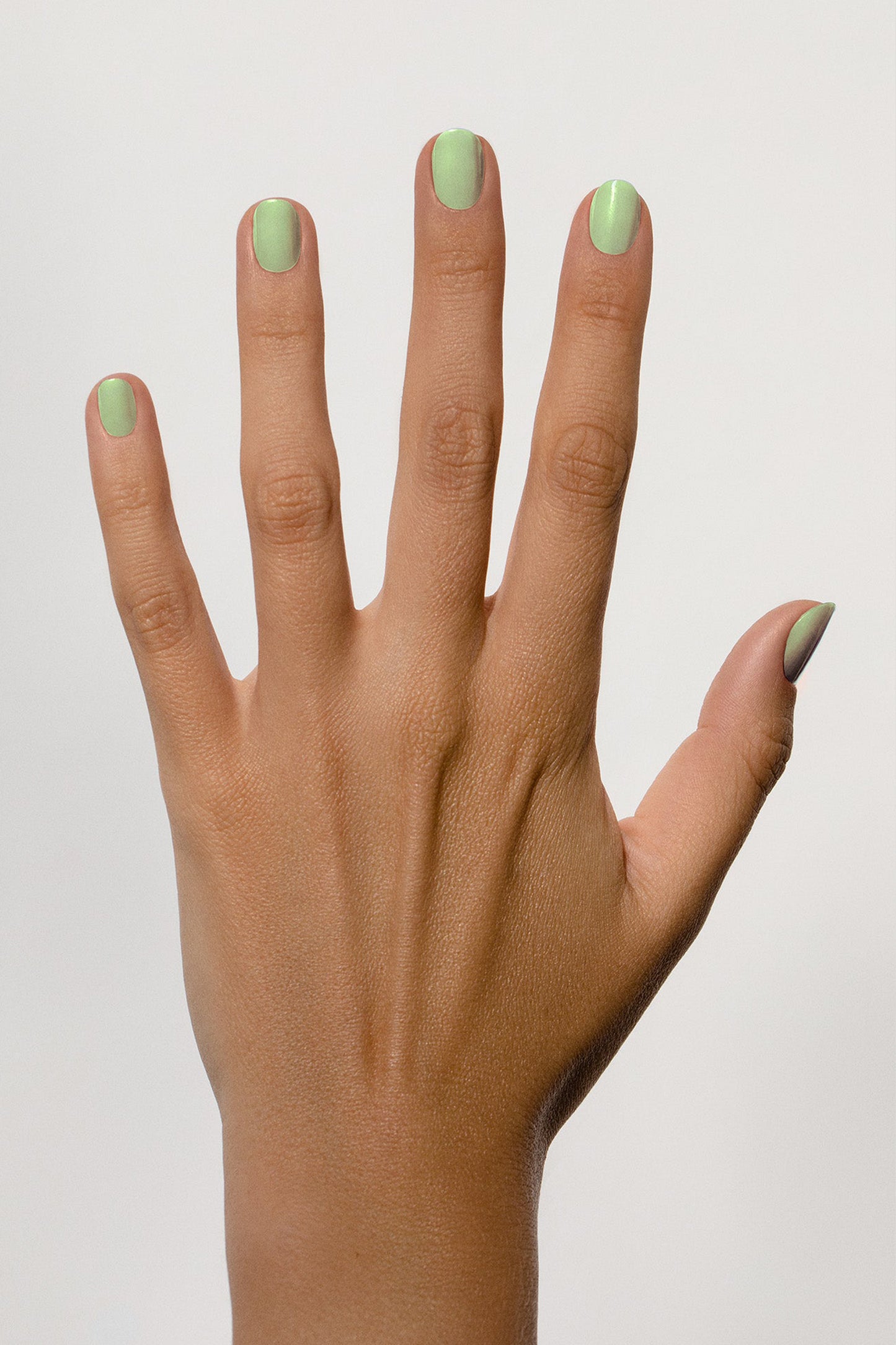 18 fleur de menthe