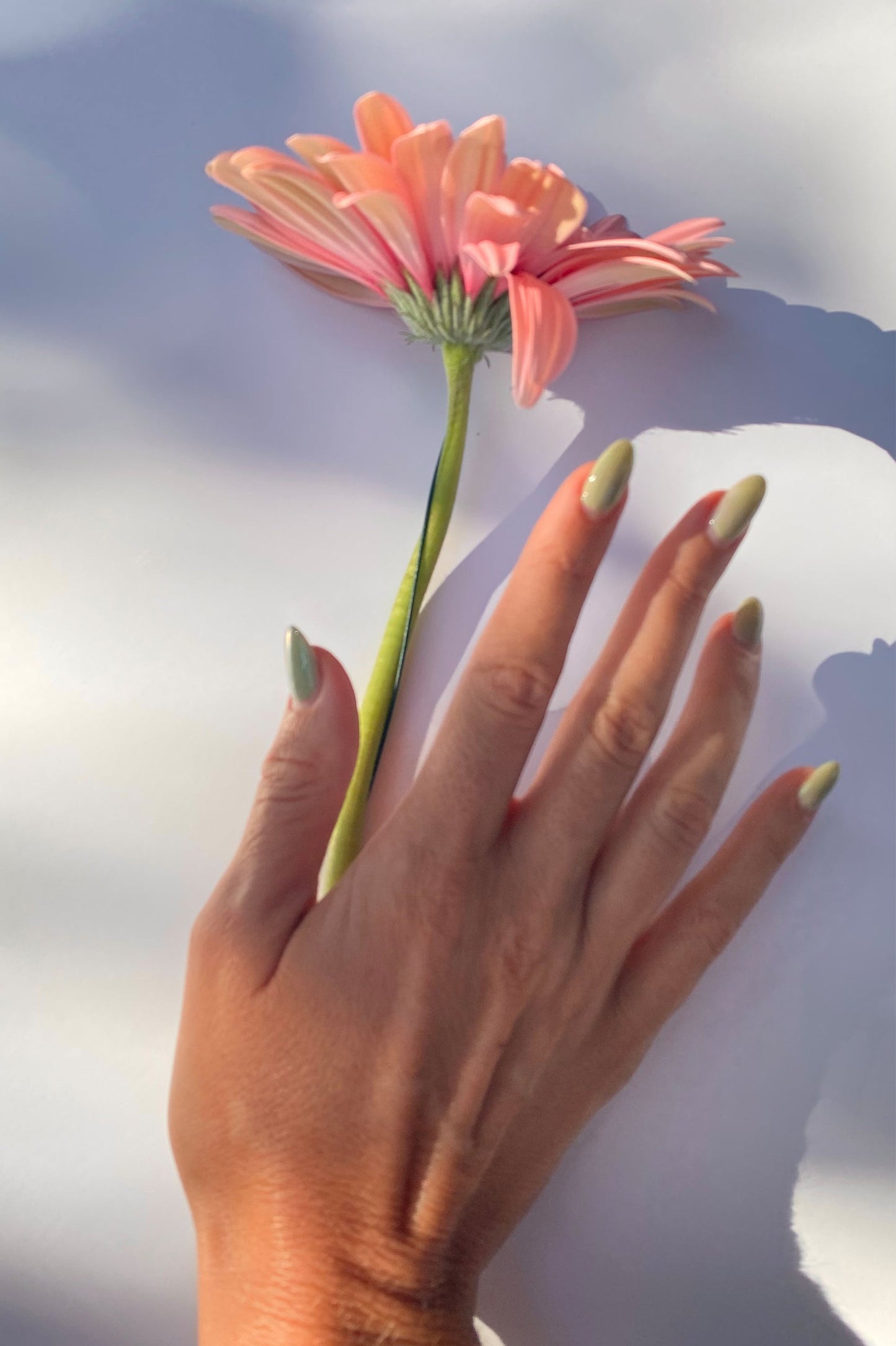 18 fleur de menthe