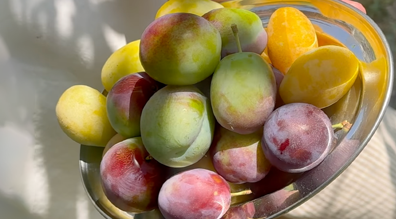 KVL COLOR THEORY: IN SEASON