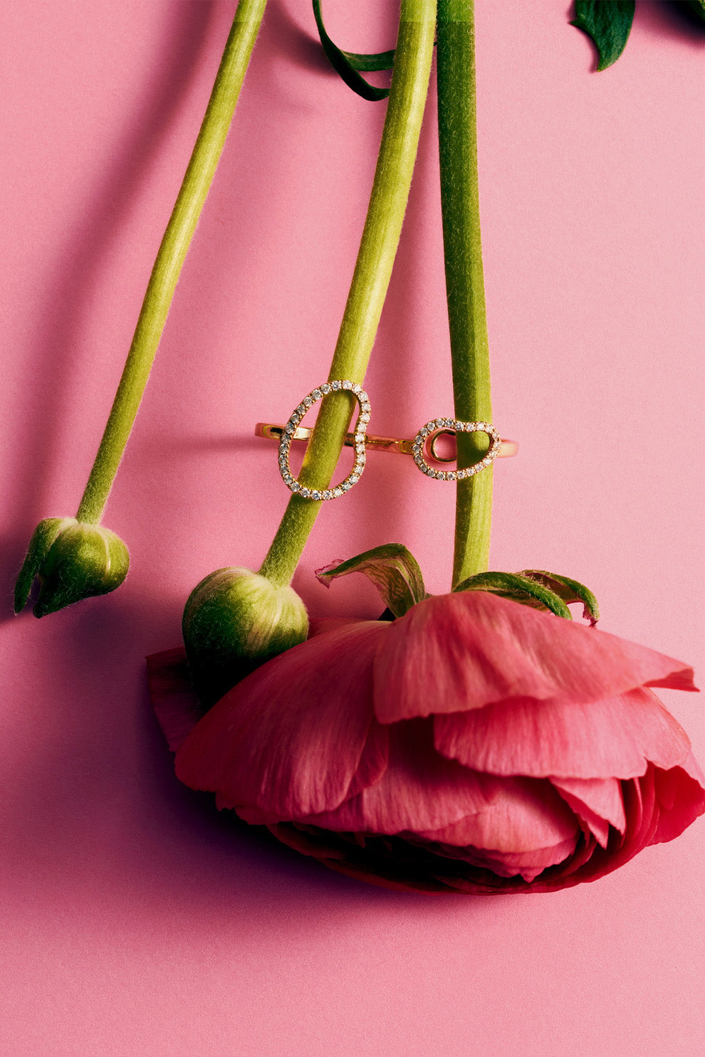 Objet trouvé N°5, Double Aire