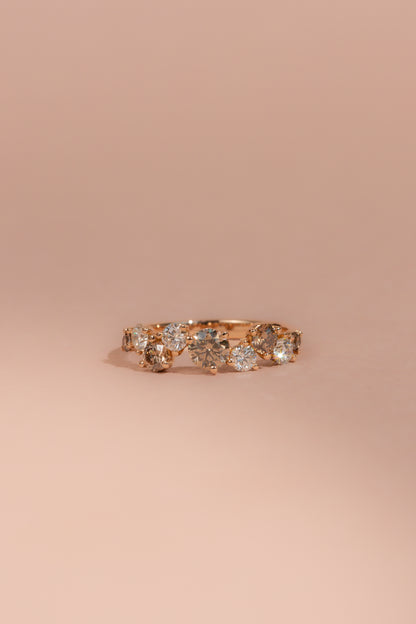 The Blossom Ring, Brown