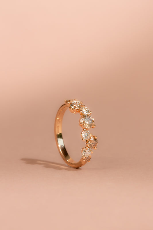 The Blossom Ring, Brown