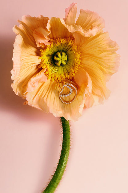 Objet trouvé N°18, Aire, Coeur