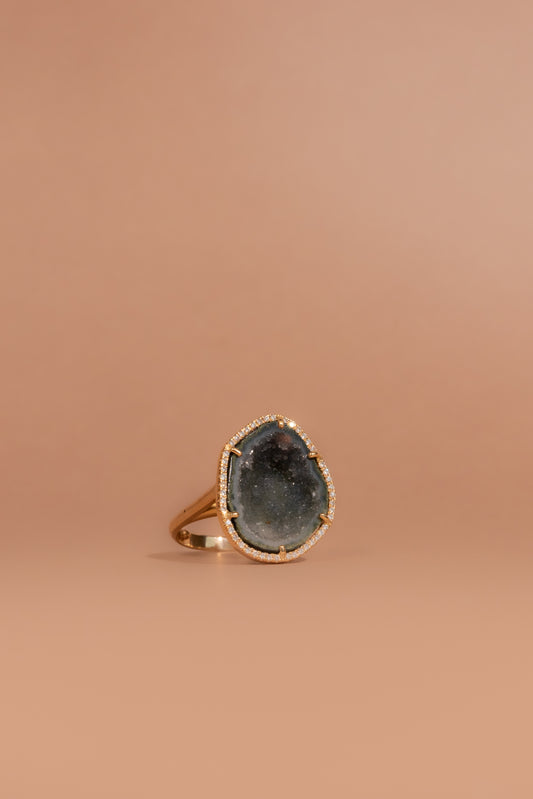 ROCKY ring, Forest