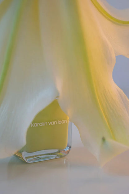 41 Citron Vert