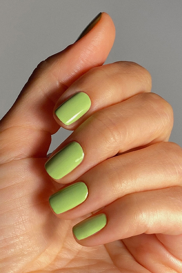 41 Citron Vert