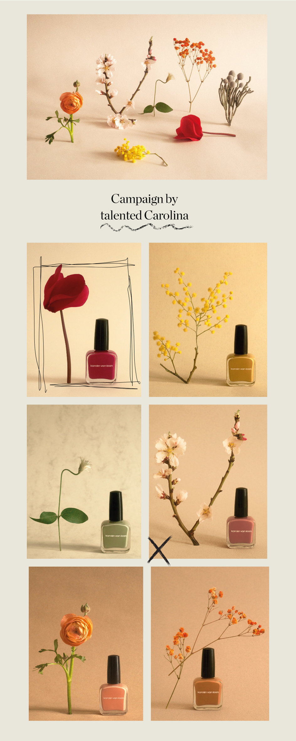 Campaign by 
talented Carolina
