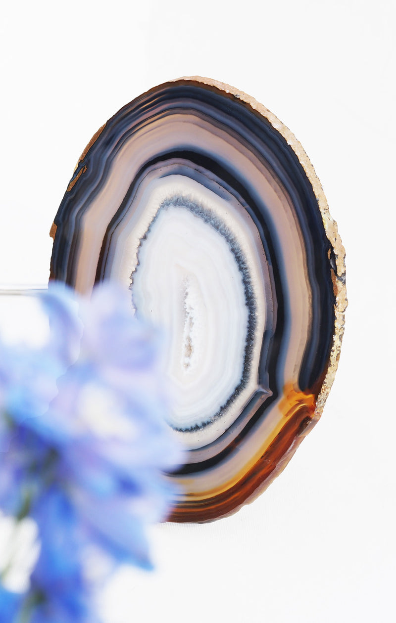 Embrace - blue/white