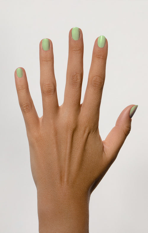 18 fleur de menthe